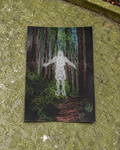 SHINRIN YOKU POSTER — sul pavimento verde con muschio