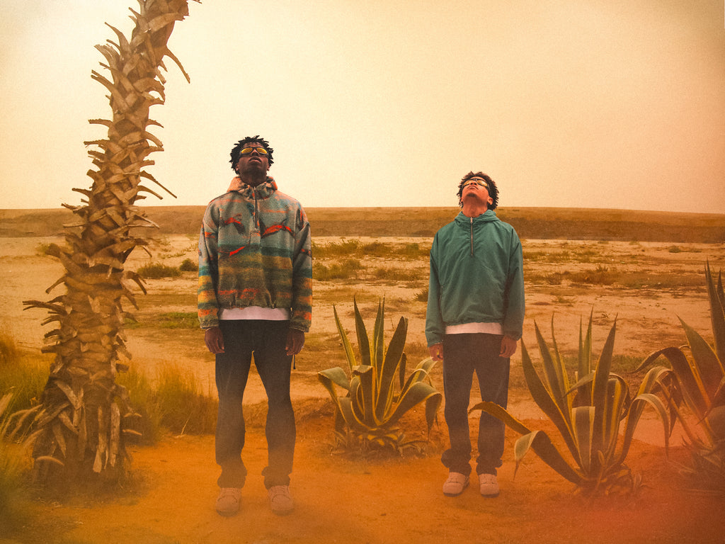 Birds  Migration Rev* Fleece